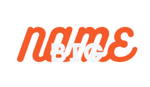 big name logo